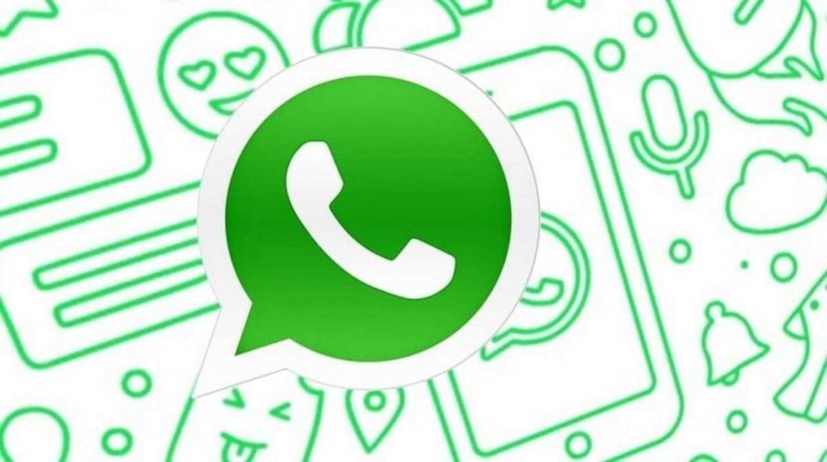 WhatsApp网页版，群组互动与文件共享功能升级，效率更高