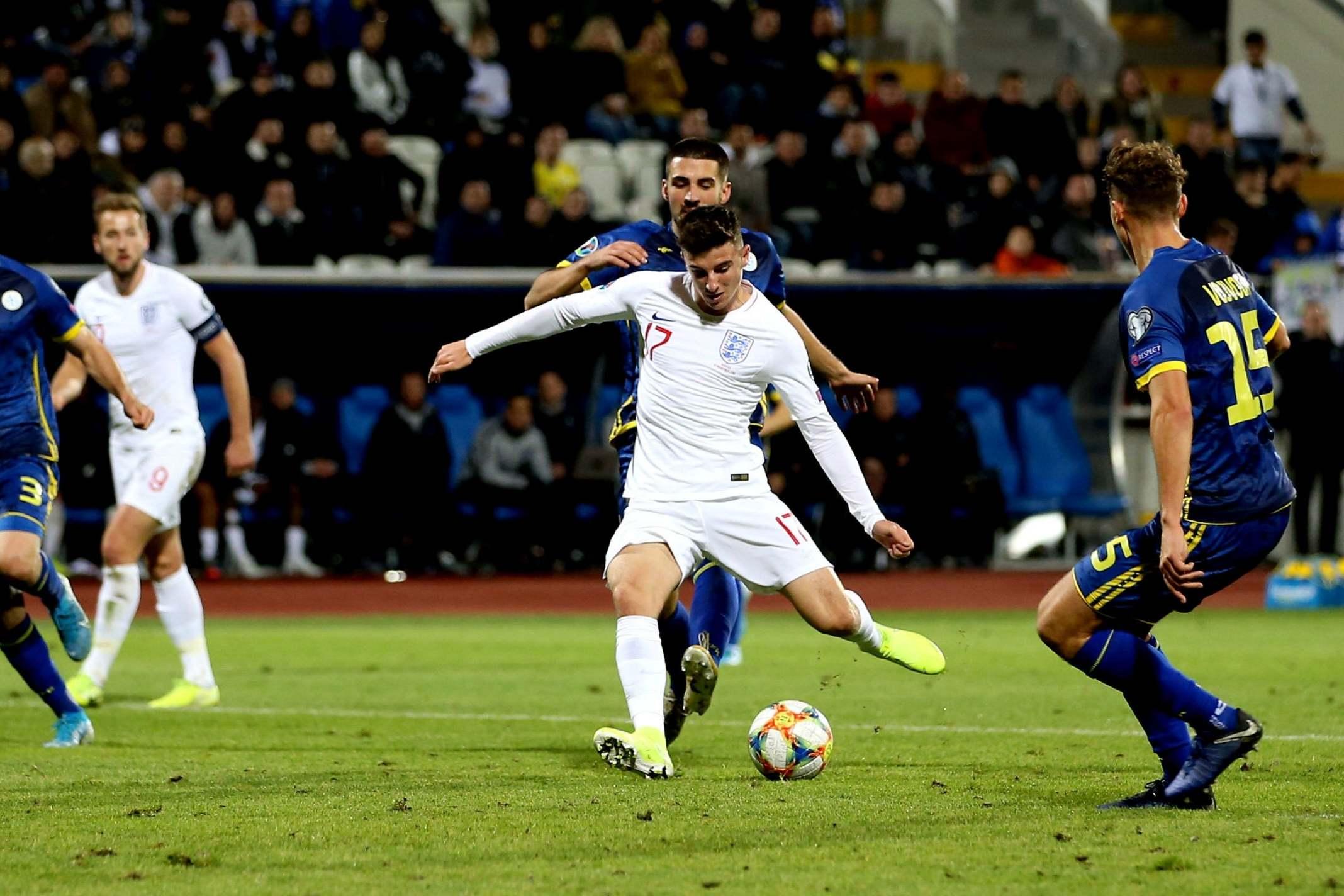 WhatsApp网页版群聊互动与文件共享操作指南