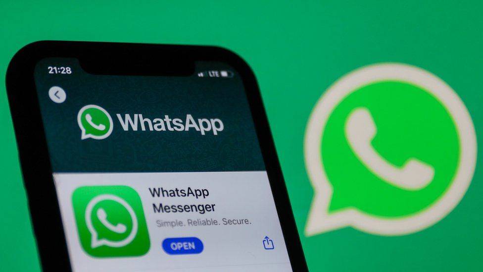 WhatsApp网页版，多群组互动，轻松沟通