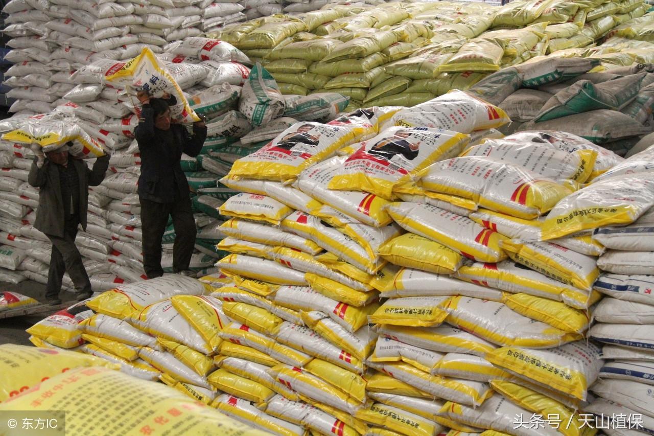 深度解析，数字货币投资误区与持币无收益原因探究