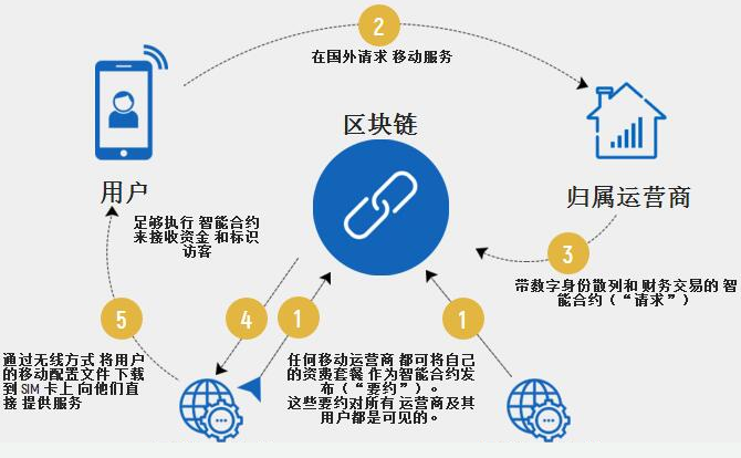 加密市场信息筛选术，构建可靠决策的生存指南