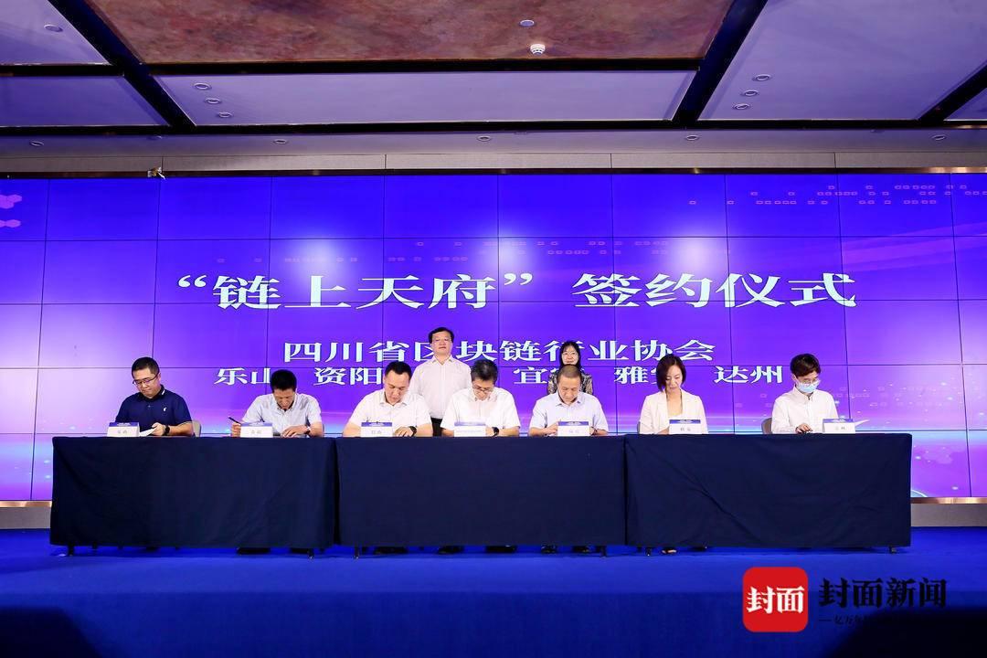 区块链应用多领域突破与未来生态重构探析