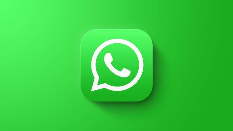 WhatsApp网页版群组文件传输新纪元，快速高效功能深度解析与实战应用