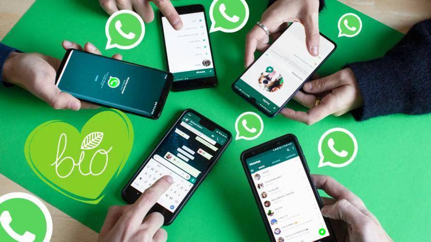 WhatsApp网页版，跨国企业沟通效率的数字化引擎