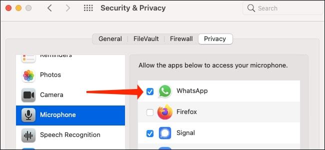 WhatsApp网页版高清流畅视频语音体验革新纪