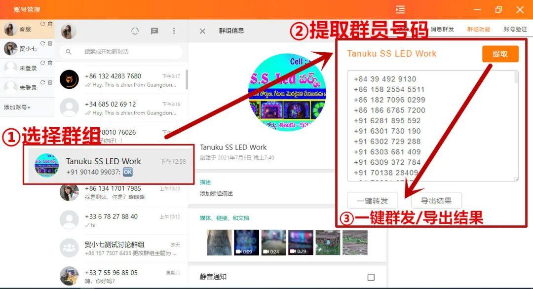 WhatsApp网页版多人群组文件高效共享传输功能深度解析