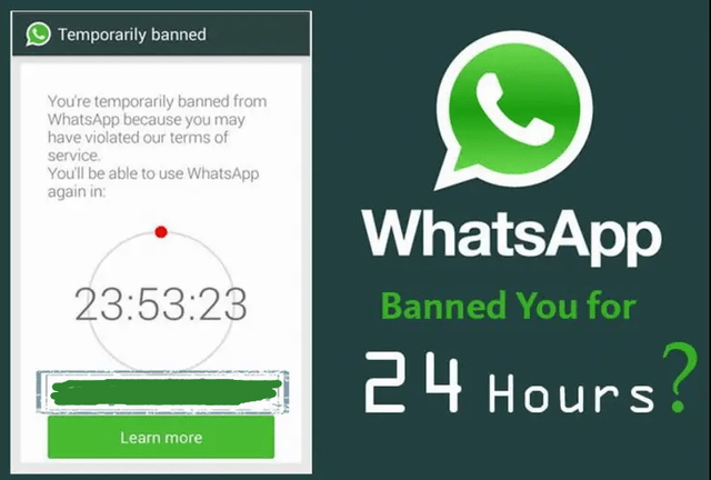 WhatsApp网页版界面革新，简洁直观带来的极致体验突破