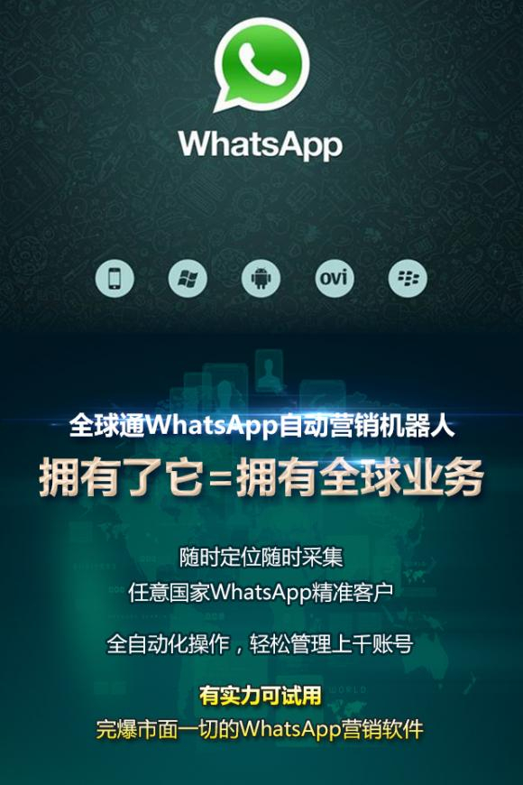 WhatsApp网页版，跨国企业高效沟通的革新引擎